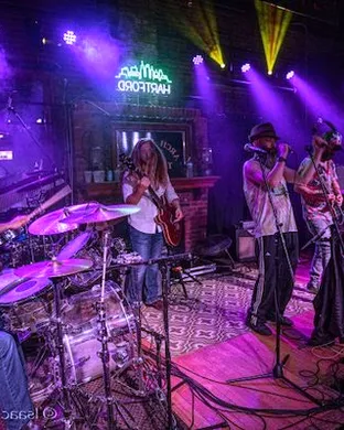 Bearly Dead - Grateful Dead Tribute Ferndale