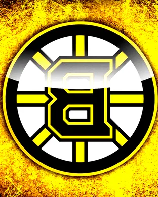 Boston Bruins Boston