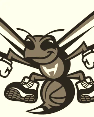 Charlotte Hornets Charlotte