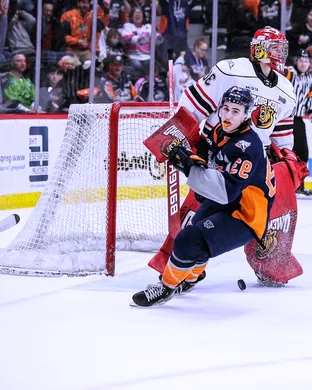 Flint Firebirds Flint