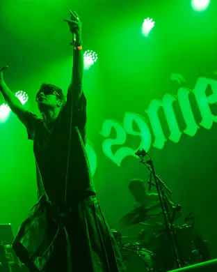 Fontaines Dc Detroit