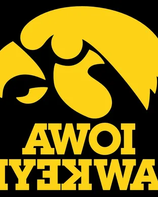 Iowa Hawkeyes Football Ann Arbor