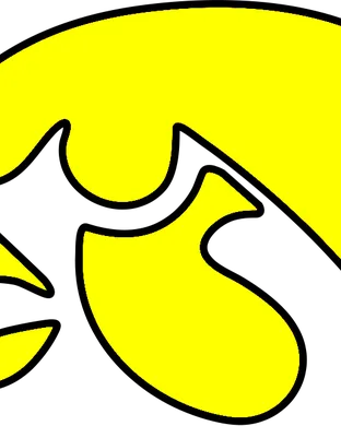 Iowa Hawkeyes Ann Arbor