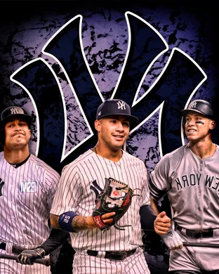 New York Yankees Bronx