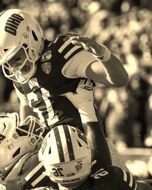 Ohio Bobcats Ann Arbor