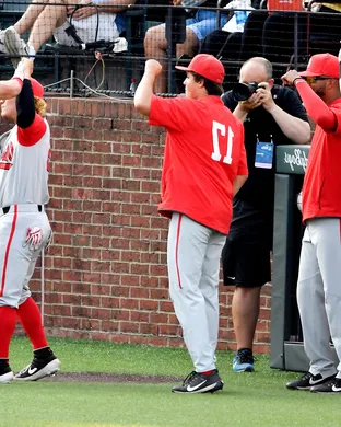 Ohio State Buckeyes Baseball Ann Arbor