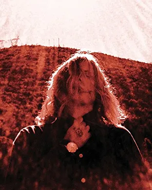 Ty Segall Detroit