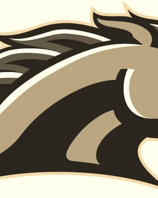 Western Michigan Broncos Football Ann Arbor
