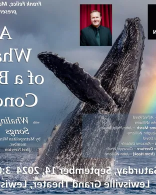 Whales Pontiac