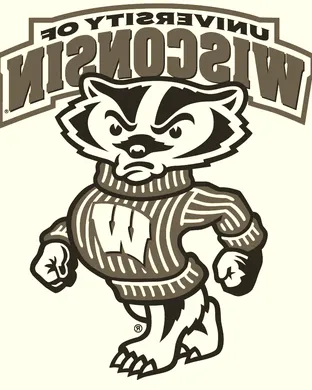 Wisconsin Badgers Football Madison