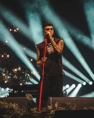 Zayn Detroit