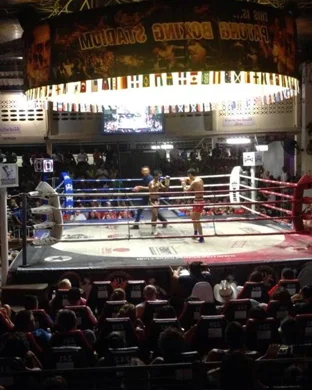 Night of Knockouts Detroit