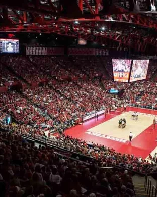 Michigan Wolverines Women's Volleyball Ann Arbor