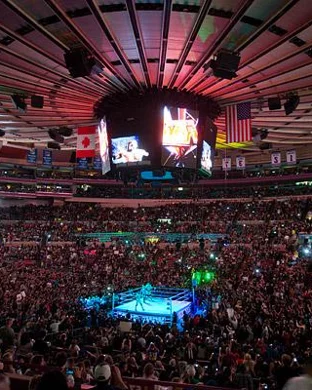 MHSAA Wrestling Finals Detroit